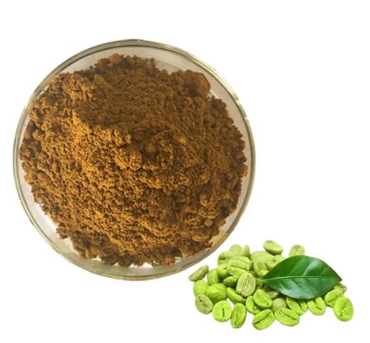 グリーンコーヒー豆抽出物50クロロゲン酸